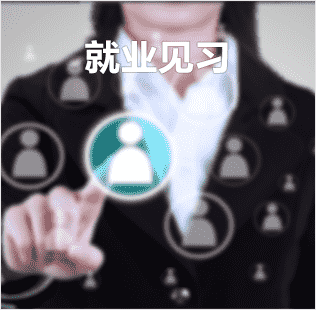 就業(yè)見習(xí)